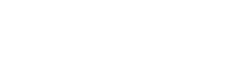 Logo bianco